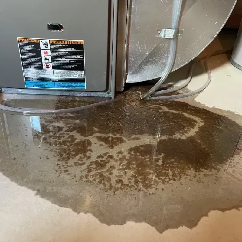 Appliance Leak Cleanup in Beauregard Parish, LA